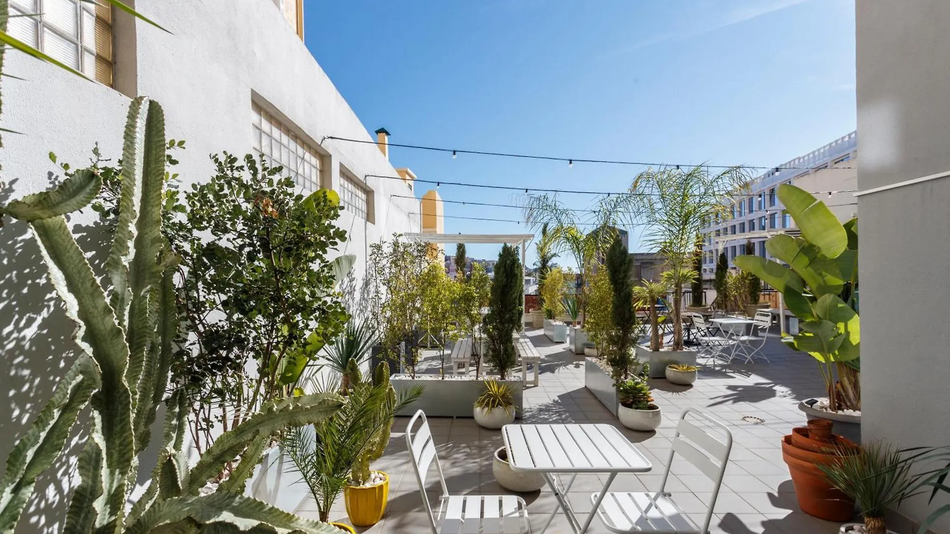 Apartment Green Wine Affair By Misha'S Place 6B Lisbon