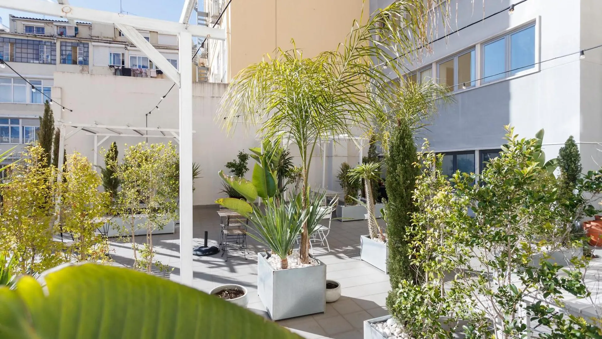 Green Wine Affair By Misha'S Place 6B Lisbon Apartment