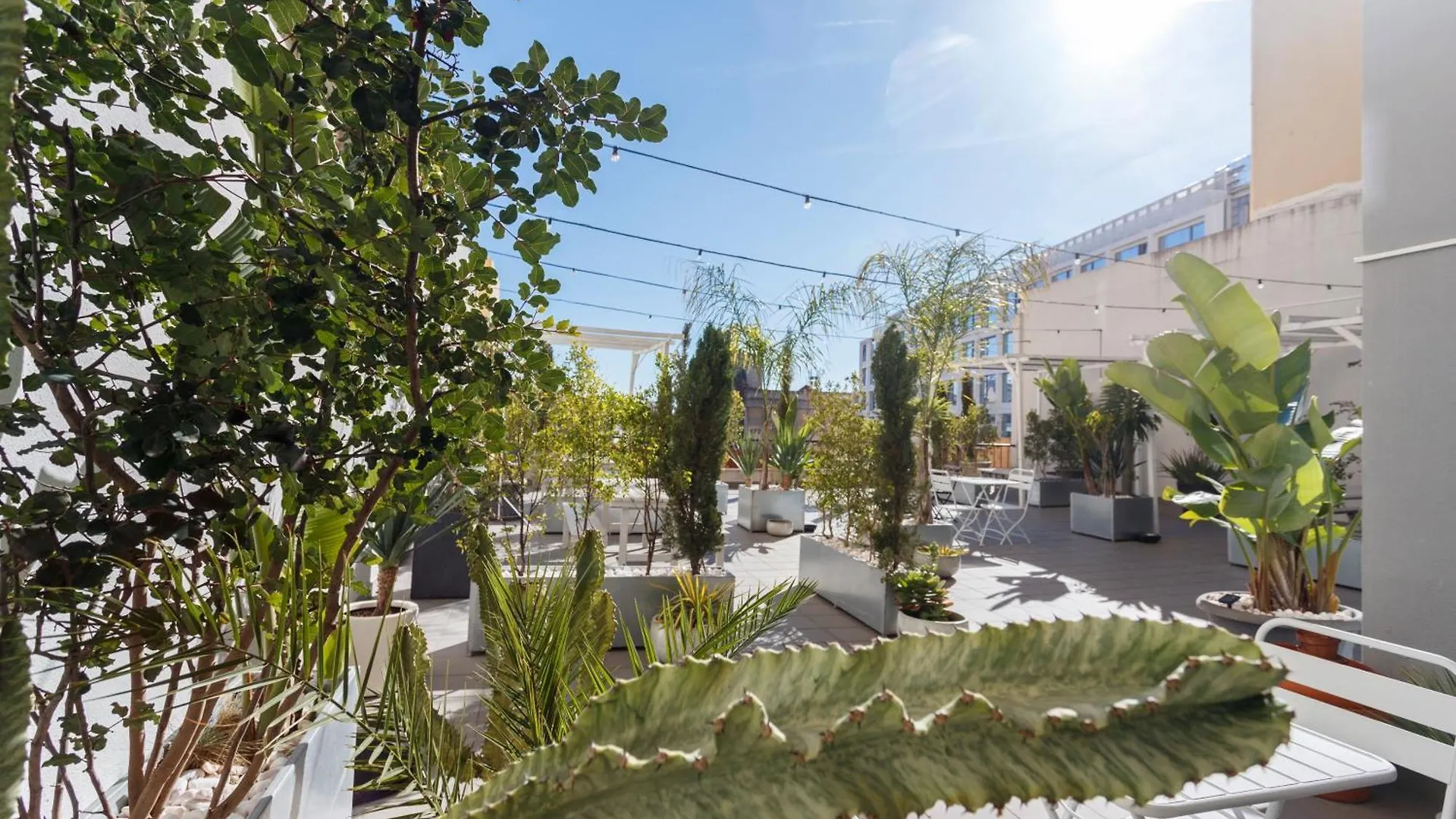 Apartment Green Wine Affair By Misha'S Place 6B Lisbon Portugal